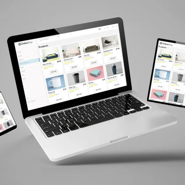 Web & Computer Course (1)